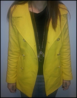 yellow-jacket